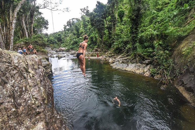 El Yunque Rainforest Guided Hiking With Waterfall Tour - Key Points