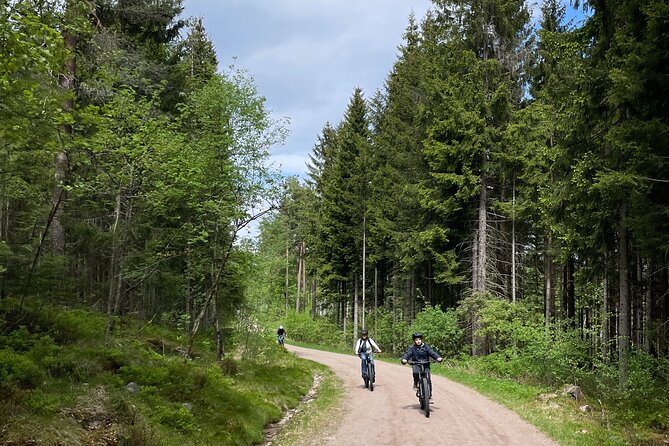 Electric Mountain Bike Tour in the Forest of Oslo - Key Points