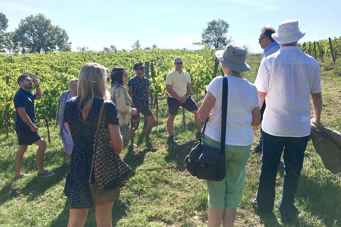 Elite Provence Wine Tour - Key Points