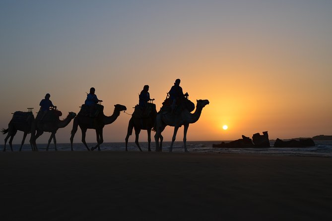 Essaouira: 1/2 Day Camel Ride With Meal. - Inclusions and Amenities