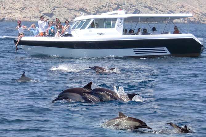 Experience Dolphin Watching and Snorkeling in Muscat - Key Points