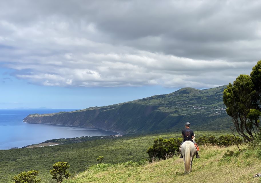 Faial Island: Horseback Riding on Lusitano Trail - Key Points