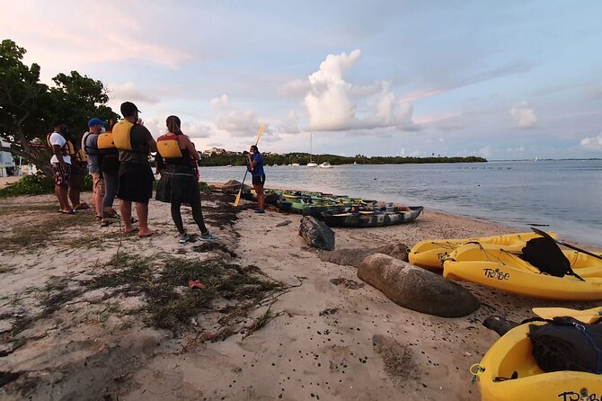 Fajardo Bioluminescent Bay Night Kayak Adventure From San Juan - Key Points