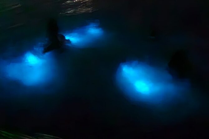 Falmouth Bioluminous Lagoon Night Tour With Boat Ride and Swim - Key Points