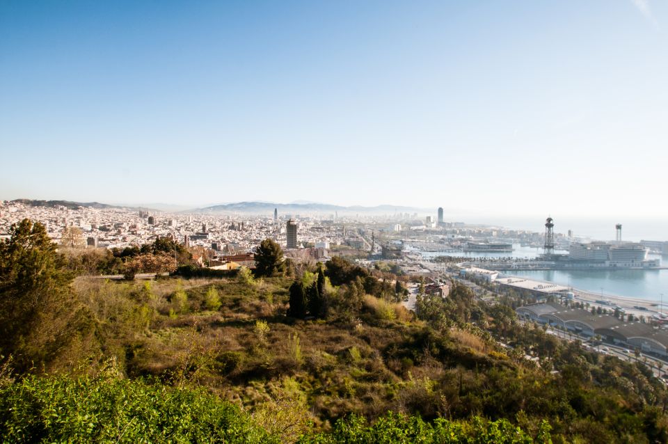 Fast Track: Sagrada Familia & Barcelona Full-Day Tour - Tour Overview