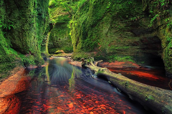 Find a Hidden Glen in Scotlands Woods - Key Points