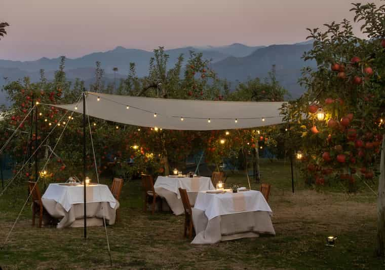 Fine Dining Experience Inside an Orchard Review - Key Points