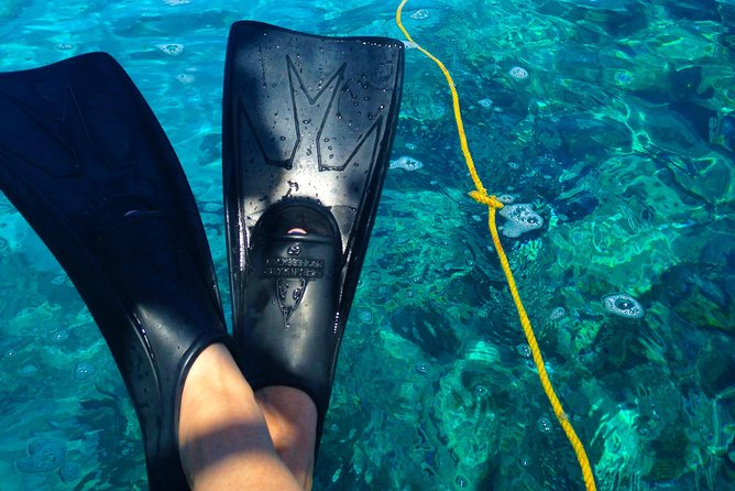 Florida Keys Reef Snorkel & Sail Adventure - Inclusions and Amenities