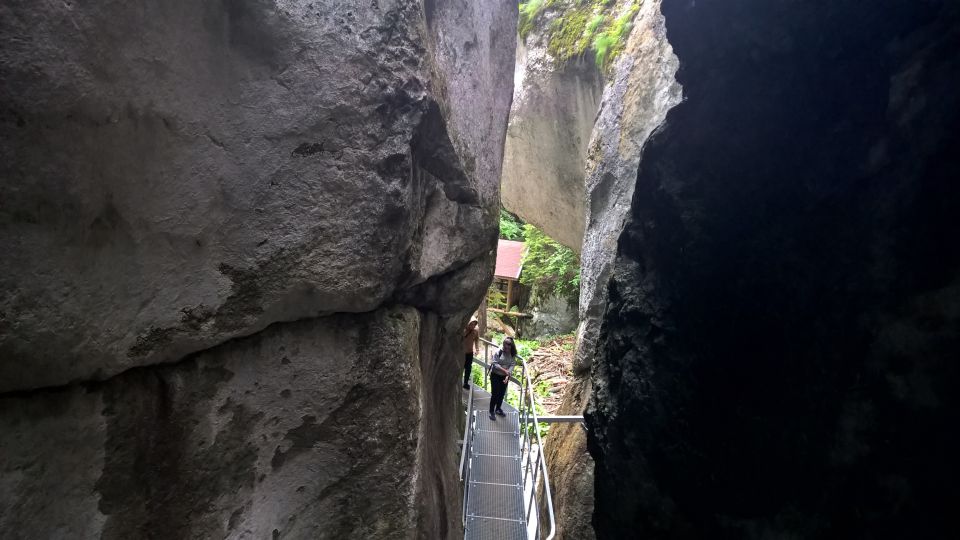 From Brasov: Day Trip to the Seven Ladders Canyon - Key Points