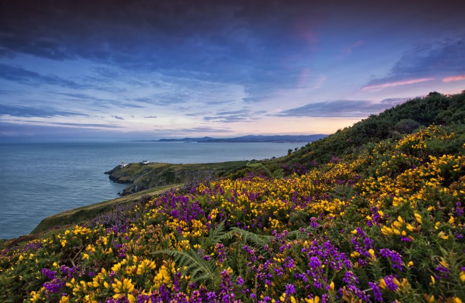 From Dublin: Half-Day Guided Coastal Tour to Howth Village - Key Points