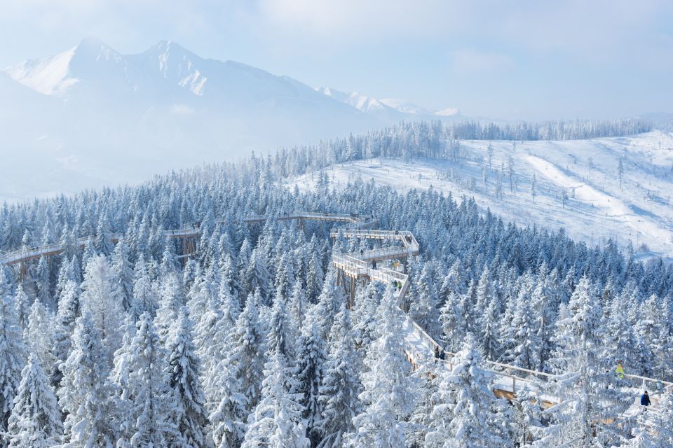 From Kraków: Slovakia Treetop Walk & 4-Hour Ski Pass - Key Points