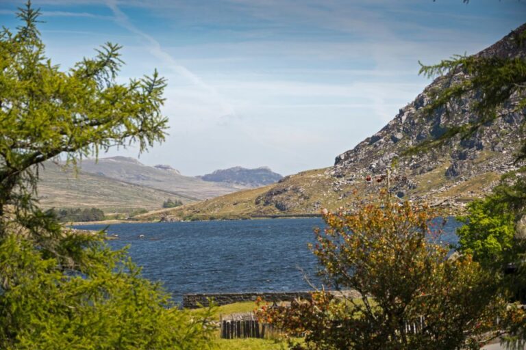 From Liverpool: North Wales Tour W/ Snowdonia National Park Duration And Transportation