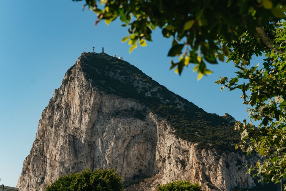 From Malaga and Costa Del Sol: Gibraltar Tour - Key Points