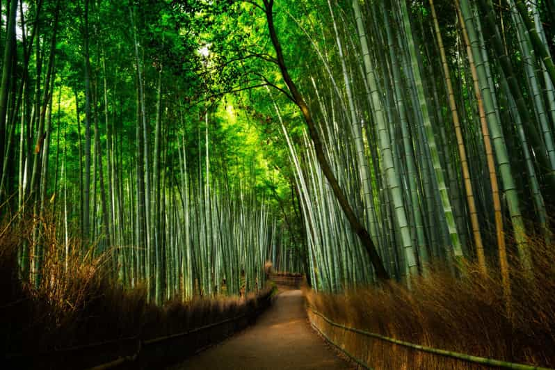 From Osaka to Kyoto: Arashiyama Bamboo Forest Tour - Key Points