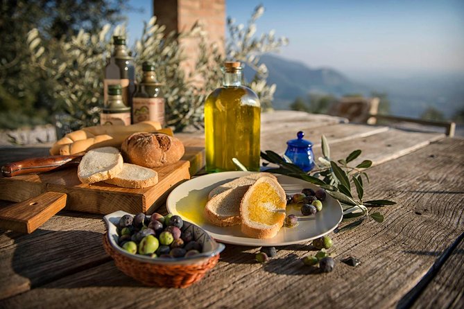 From Padua: Olive Oil & Wine in the Euganean Hills - Key Points