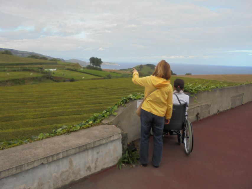 From Ponta Delgada: Furnas Wheelchair Accessible Van Tour - Key Points