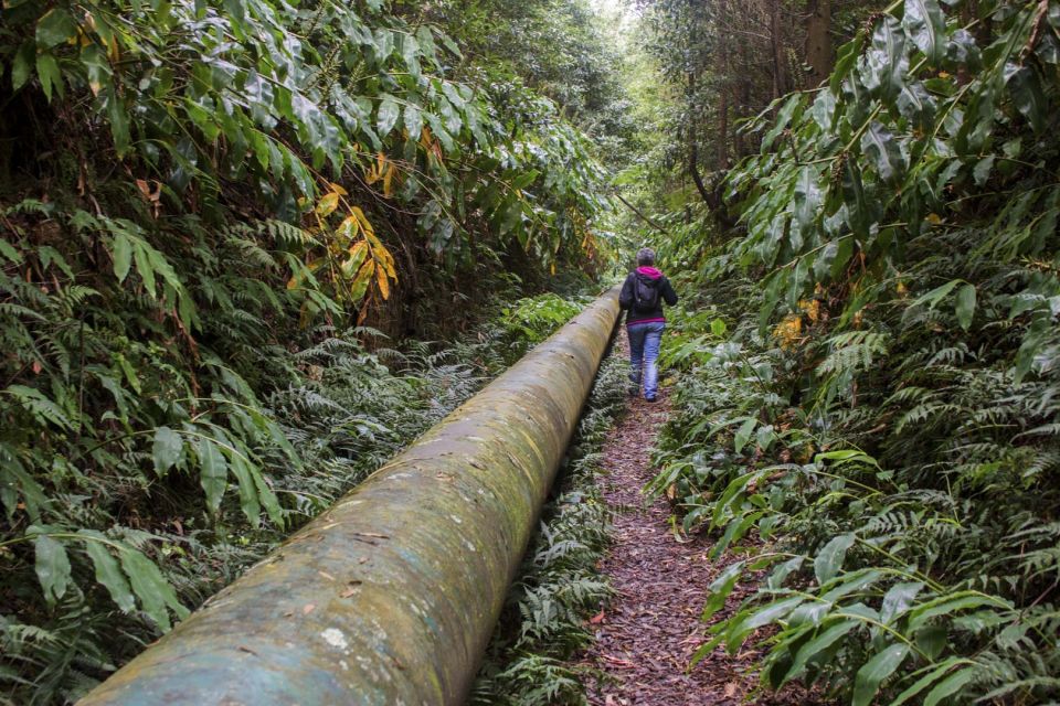 From Ponta Delgada: Guided Walking Tour to Salto Do Cabrito - Key Points