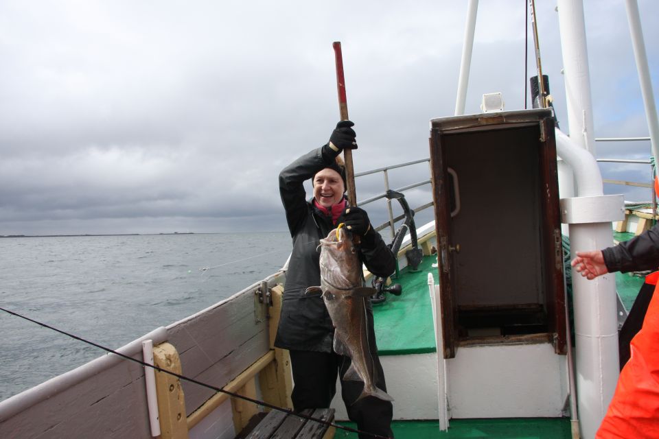 From Reykjavik: Sea Fishing Gourmet Tour - Key Points