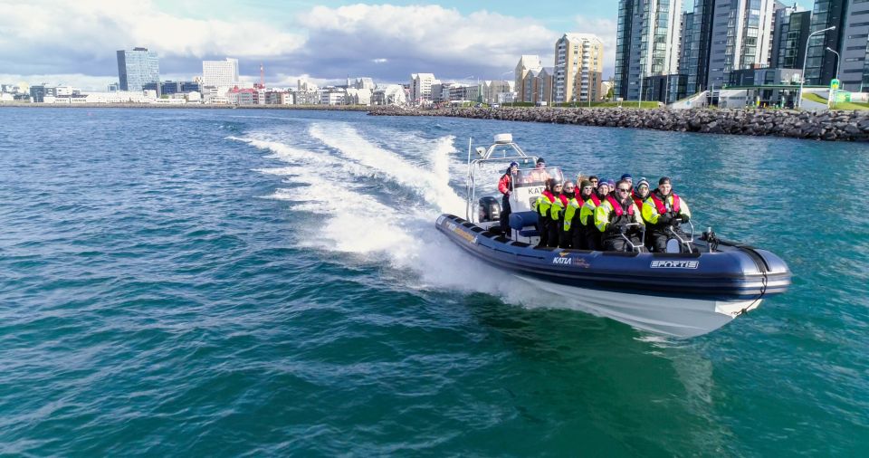 From Reykjavik: Whale Watching Tour by Speedboat - Key Points