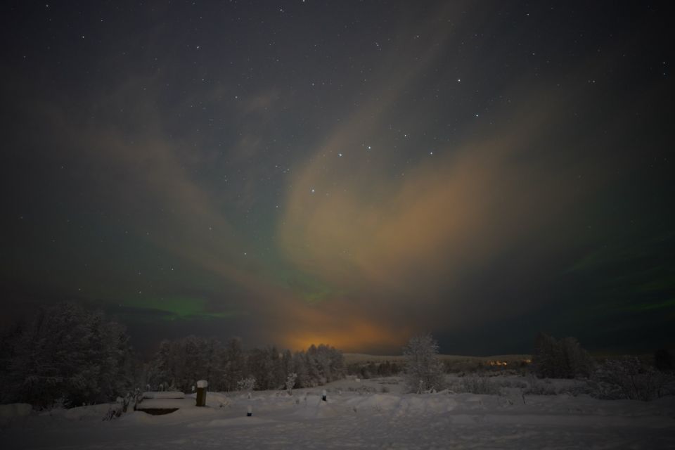 From Rovaniemi: Aurora Dreamscape Tour in the Wild - Key Points