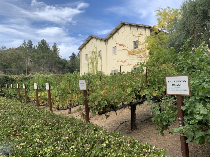 From San Francisco: Private Muir Woods and Napa Wine Tour - Key Points