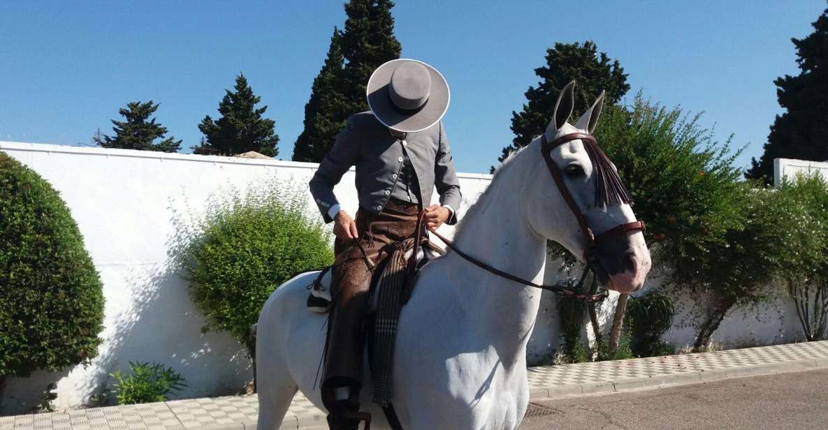 From Seville: Andalusian Horseback Ride - Key Points