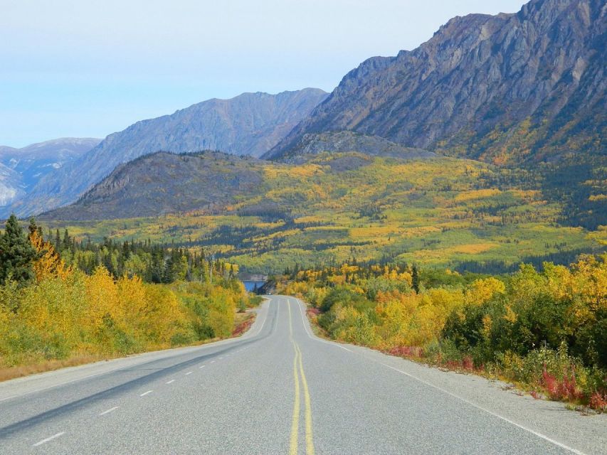 From Skagway: Skagway City & White Pass Summit Guided Tour - Key Points