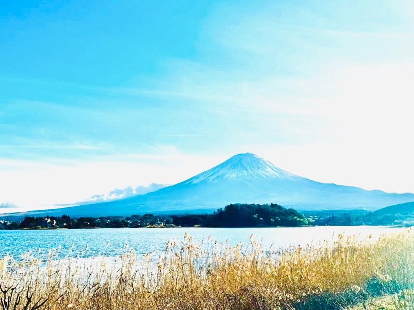 From Tokyo: Guided Day Trip to Kawaguchi Lake and Mt. Fuji - Key Points