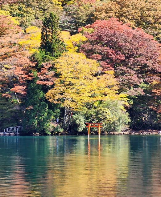 From Tokyo: Hakone 1 Day Private Tour With English Driver - Key Points