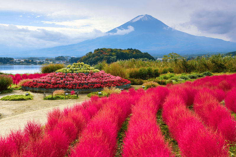 From Tokyo: Mount Fuji and Fuji 5 Lakes Private Guided Tour - Key Points