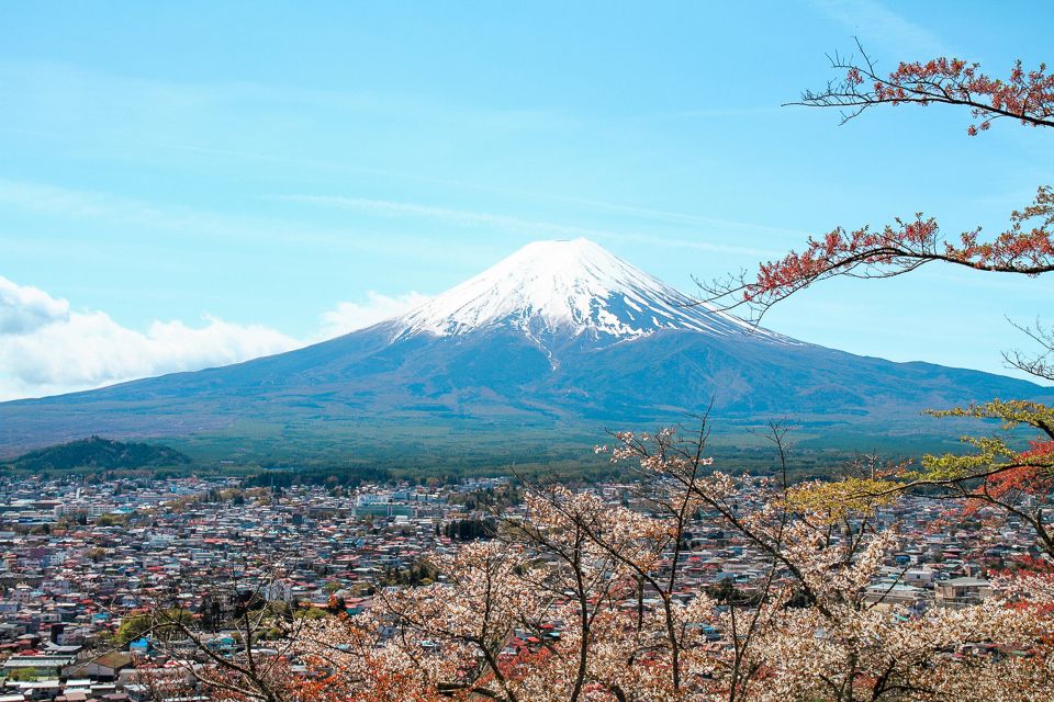 From Tokyo: Mount Fuji Full-Day Sightseeing Trip - Key Points