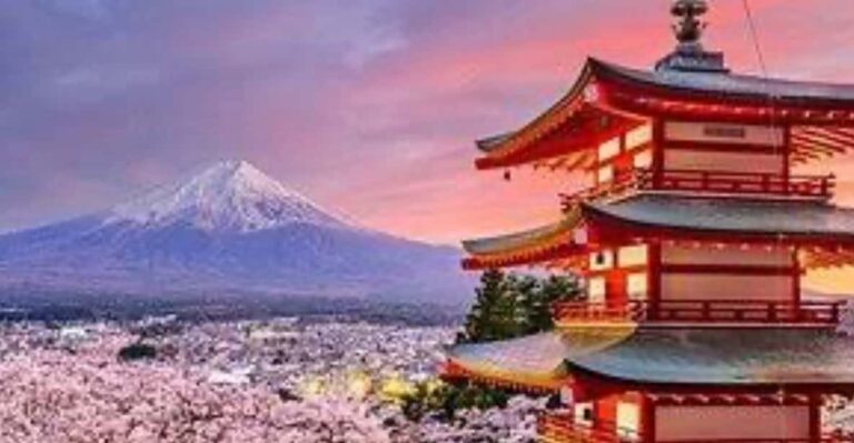 From Tokyo: Mount Fuji Private Day Trip Tour Overview