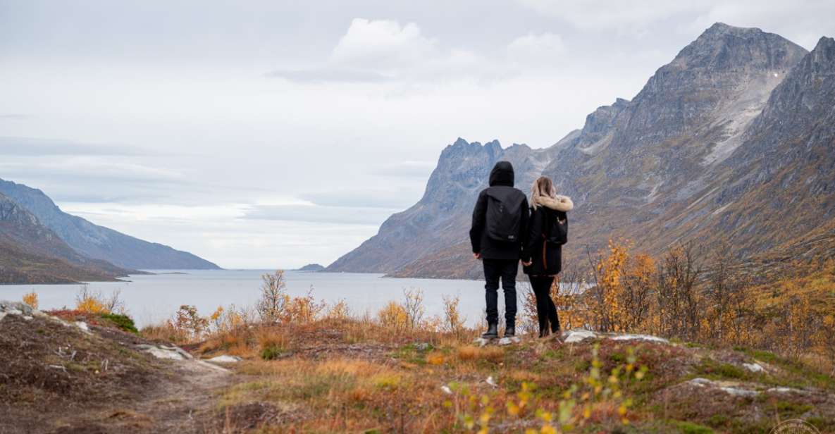 From Tromsø: Arctic Roadtrip - Key Points