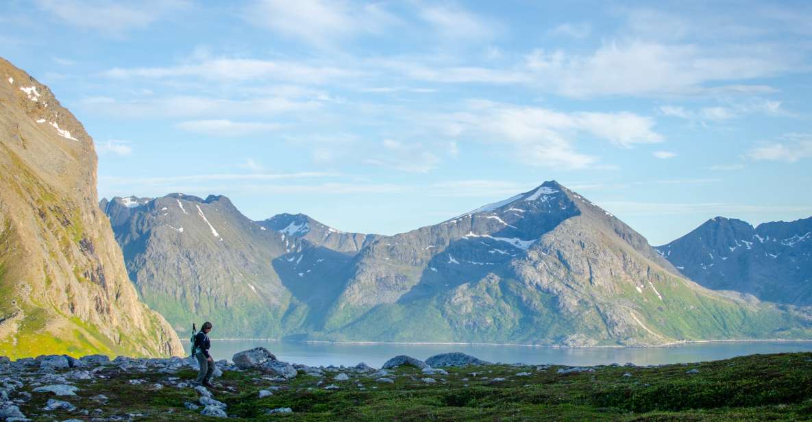 From Tromsø: Small Group Hiking Tour to Brosmetinden - Key Points