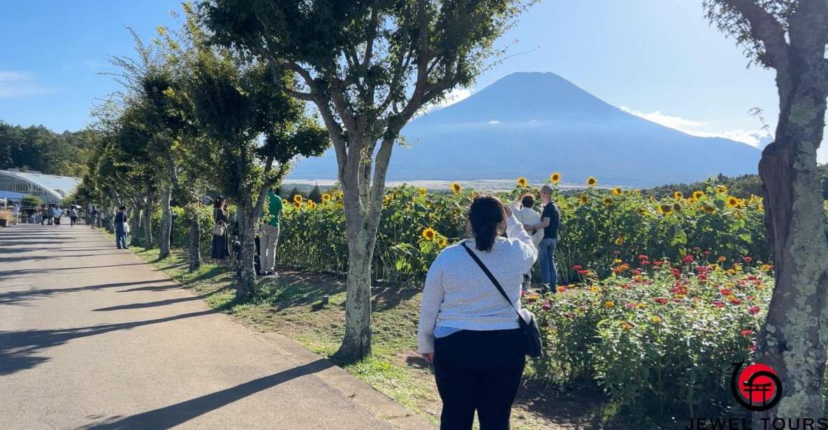 Fuji Yamanaka Lake. Oshino Hakkai and Local Noodles - Key Points