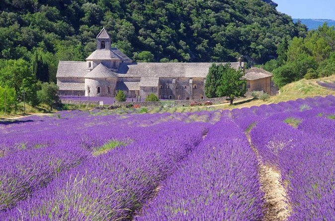 Full-Day Luberon Tour From Avignon - Key Points