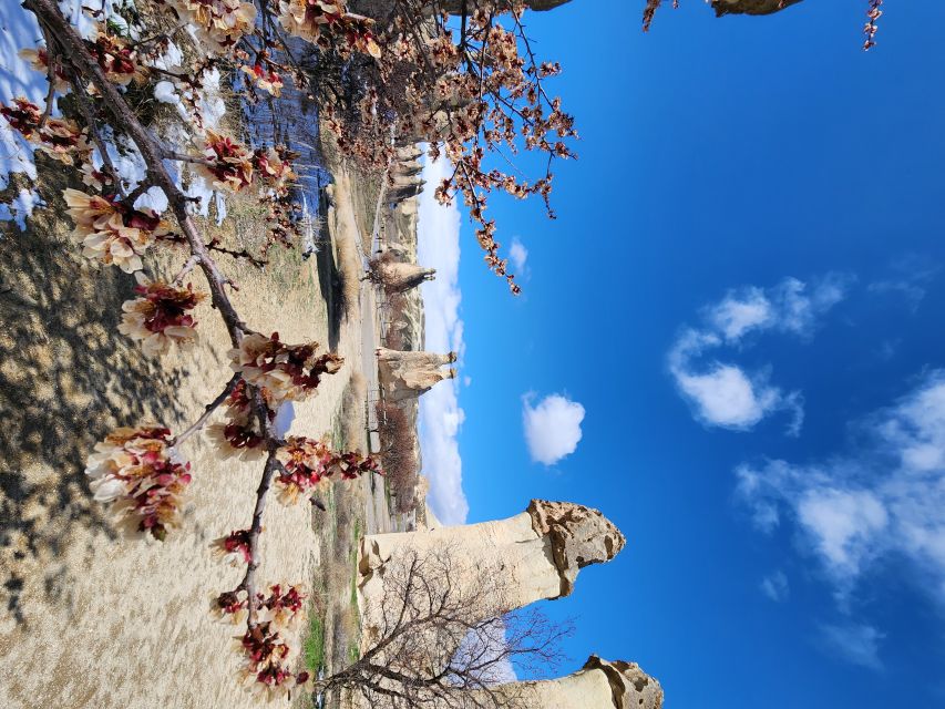 Full Day Private Tour in Cappadocia (Car and Guide) - Fairy Chimneys