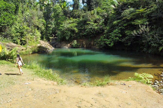 Full-Day Tour of Guavate and Charco Azul in Puerto Rico - Key Points