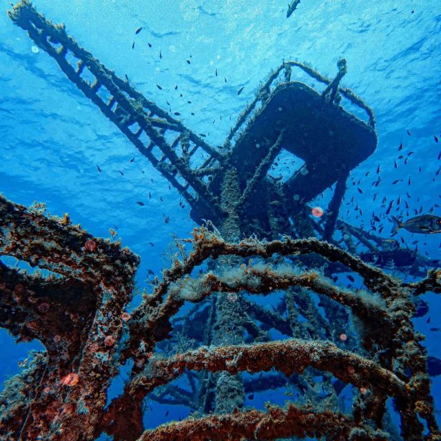 Funchal: Advanced Scuba Diving Afonso Cerqueira Wreck - Key Points