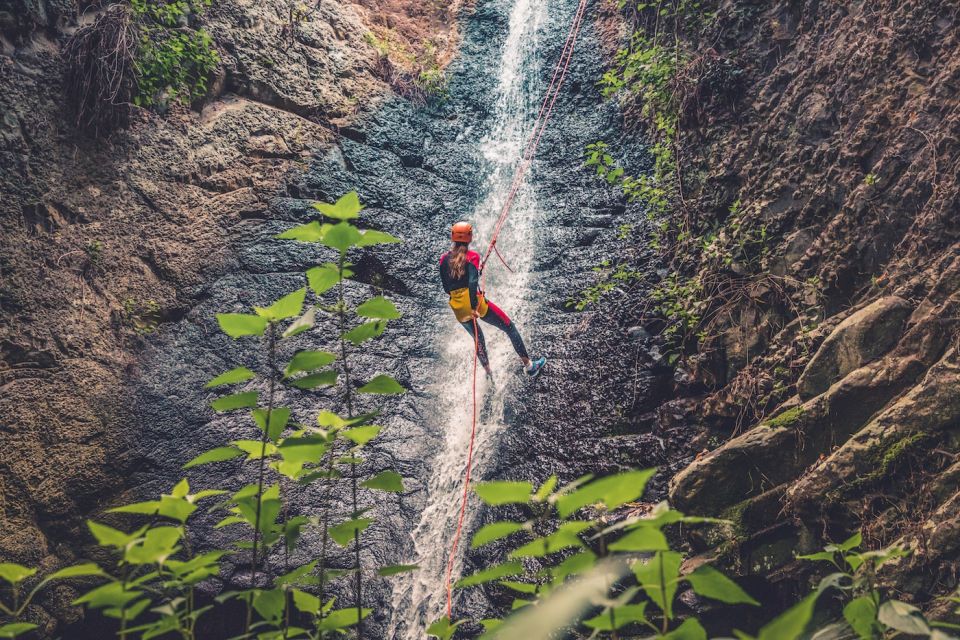 Gran Canaria: Canyoning in the Rainforest - Key Points