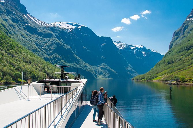 Guided Tour - Bergen Railway, Nærøyfjord Cruise & Flåm Railway - Key Points