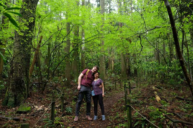 Hakone: Forest Bathing Hike Review - Key Points