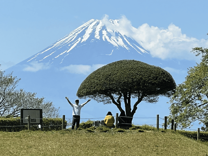 Hakone Hachiri Hiking Tour Review - Itinerary Highlights