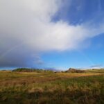 Half Day Hadrian's Wall Guided Tour Visiting Vindolanda Museum