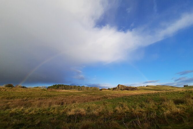 Half Day Hadrian's Wall Guided Tour - Visiting Vindolanda Museum