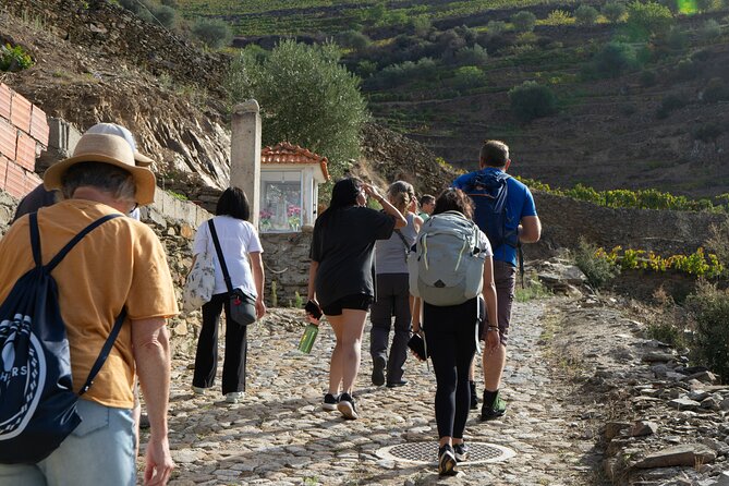 HIKE at DOURO VALLEY W/ Winery Visit and Tasting - Tour Overview