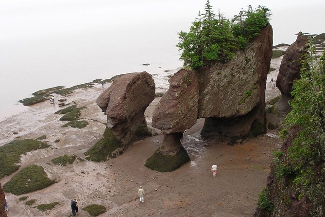 Hopewell Rocks Admission - Highlights of the Experience