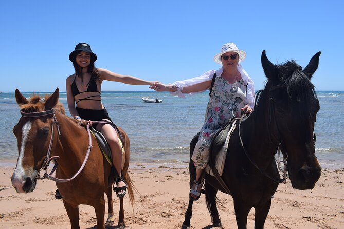 Horse Riding 3 Hours Beach, Desert, & Swimming by Horse in Red Sea - Hurghada - Overview of the Experience