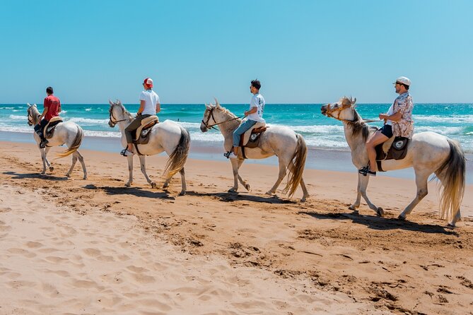 Horseback Riding, 4 Options-Mountain, Lesson Ring, Beach (2Hours) - Overview and Inclusions