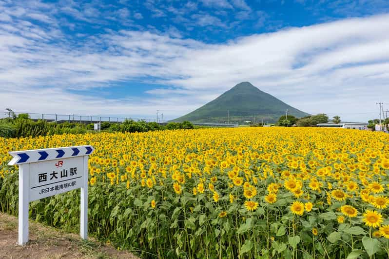 Kagoshima: Ibusuki City and Mount Kaimon Dake Tour Review - Key Points